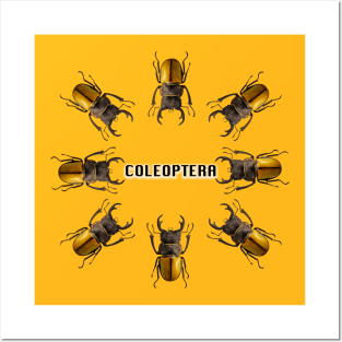 Coleoptera Posters and Art